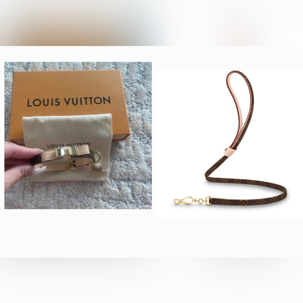 Authentic Louis Vuitton Baxter Xsmall dogcollar & leash $875 Collar new Size: OS
